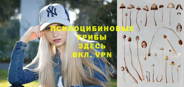 первитин Киренск
